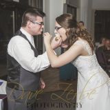 Rabenold Wedding - Wedding Photos taken by Dave Zerbe Photography