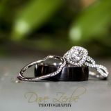 photographer, studio of photography, dave zerbe, dave zerbe studio of photography, wedding photographer reading pa, pet photography lancaster pa, pet photography wyomissing pa, pet photography exeter pa, pet photography philadelphia pa, pet photography greater reading area, wedding photography lancaster pa, wedding photography wyomissing pa, wedding photography exeter pa, wedding photography philadelphia pa, wedding photography greater reading area, senior grad portraits lancaster pa, senior grad portraits wyomissing pa, senior grad portraits exeter pa, senior grad portraits philadelphia pa, senior grad portraits greater reading area, photo restoration services lancaster pa, photo restoration services wyomissing pa, photo restoration services exeter pa, photo restoration services philadelphia pa, photo restoration services greater reading area, family photography lancaster pa, family photography wyomissing pa, family photography exeter pa, family photography philadelphia pa, family photography greater reading area, commercial photography lancaster pa, commercial photography wyomissing pa, commercial photography exeter pa, commercial photography philadelphia pa, commercial photography greater reading area, commercial photography greater reading area, custom framing wyomissing pa, custom framing exeter pa, custom framing philadelphia pa, custom framing greater reading area